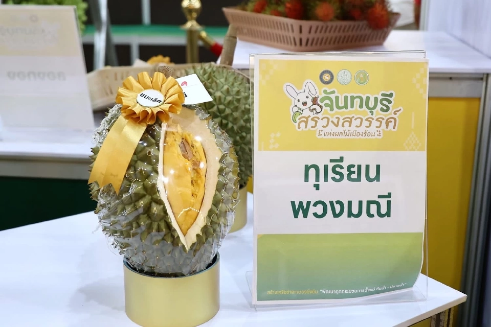 แข่งกินทุเรียน-ผลไม้ จันทบุรีจัดใหญ่ งานสรวงสวรรค์แห่งผลไม้เมืองร้อน 2568