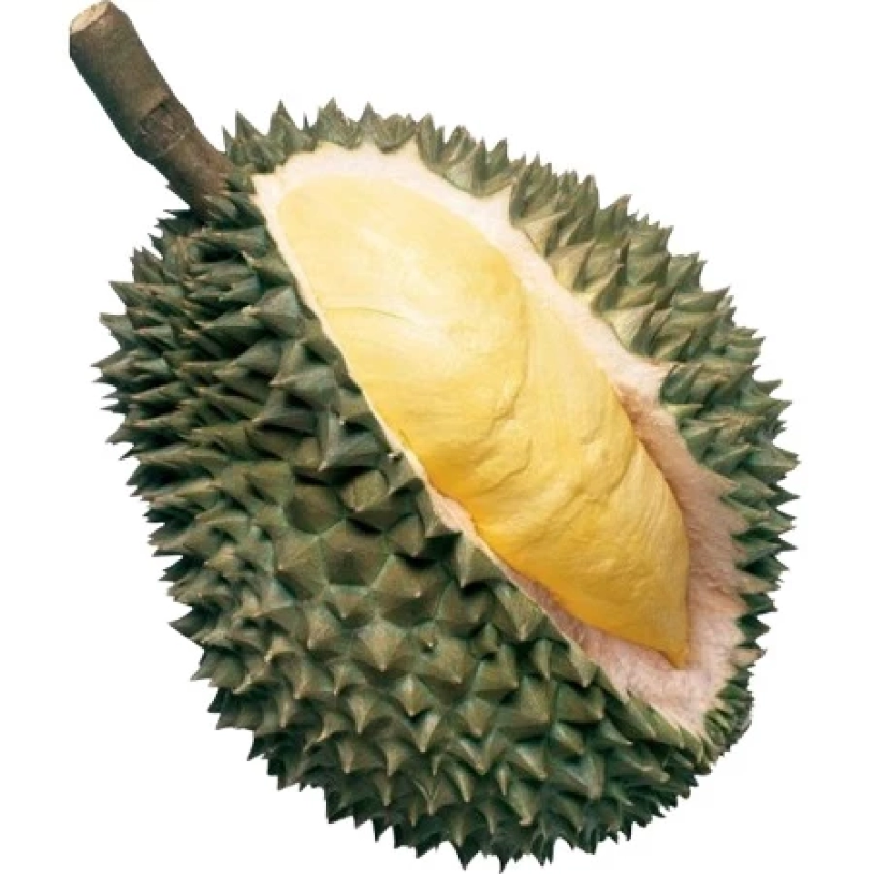 ทุเรียนชะนี