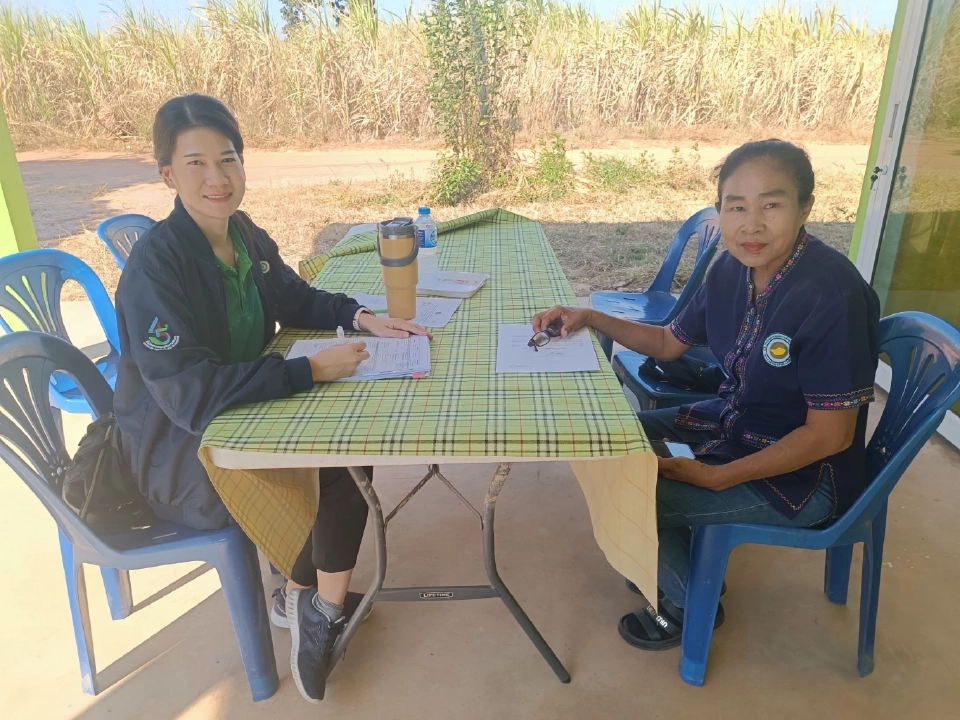 มะม่วงเงินล้าน! ส่งออกหนองแซง สร้างรายได้งาม 4 ล้าน/ปี