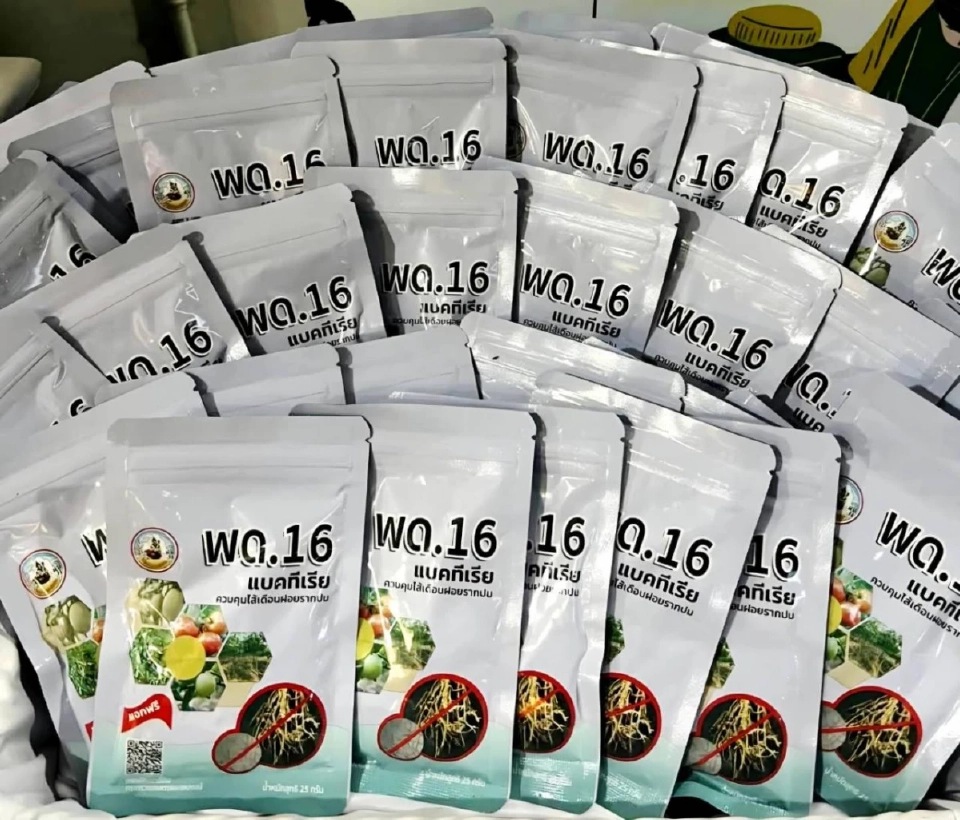 เกษตรไทยมีเฮ! “พด.16” นวัตกรรมจุลินทรีย์ปราบศัตรูรากพืช เห็นผลจริง ลดใช้สารเคมี