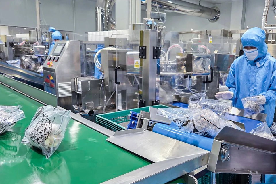 "แม็คซ์ฟู๊ด" เพิ่มกำลังการผลิต 3 เท่า ดันรายได้ไอศกรีมผลไม้ส่งออก 1,000 ล้าน