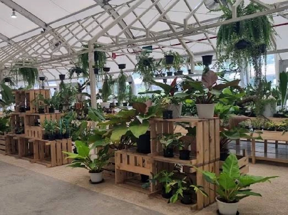 BITEC BURI ทุ่ม 2 พันล้าน ปั้นธุรกิจ LIVE &amp; PLAY เจาะกลุ่ม B2C