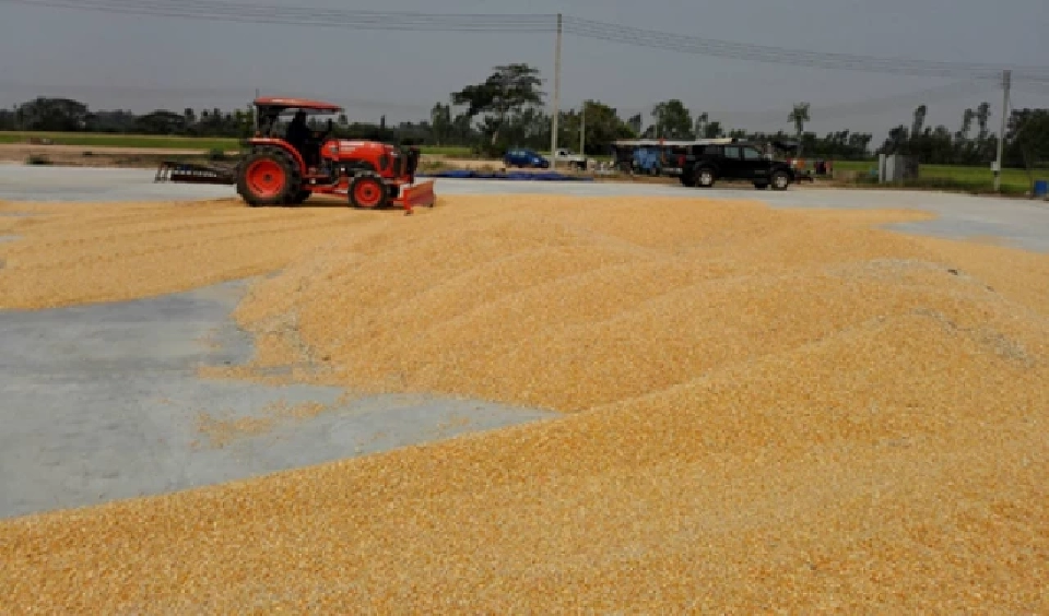 ครม.ไฟเขียวรับหลักการ รักษาเสถียรภาพราคาข้าวเปลือกด้วยศูนย์ข้าวชุมชน