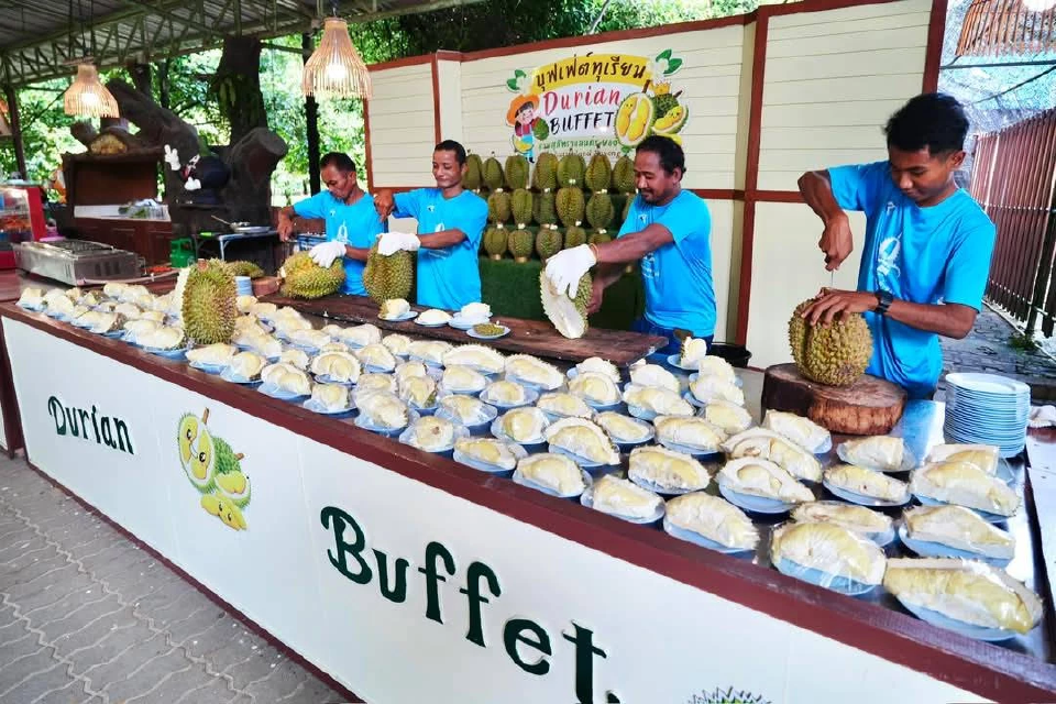 เปิดพิกัด\"บุฟเฟ่ต์ทุเรียน 2568\" ทั่วไทย กินไม่อั้นหนึ่งปีมีครั้งเดียว