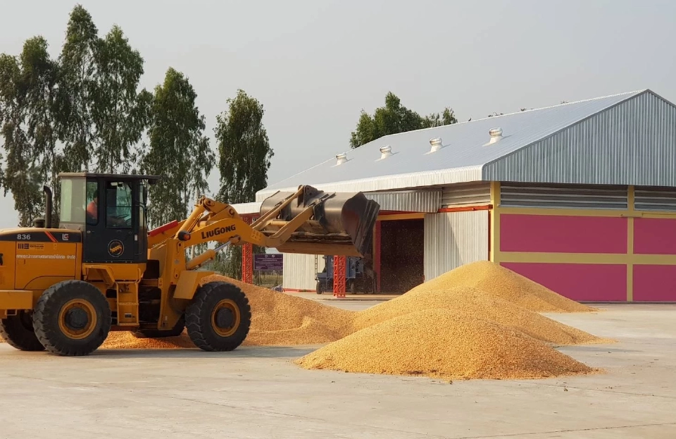 ครม.ไฟเขียวรับหลักการ รักษาเสถียรภาพราคาข้าวเปลือกด้วยศูนย์ข้าวชุมชน