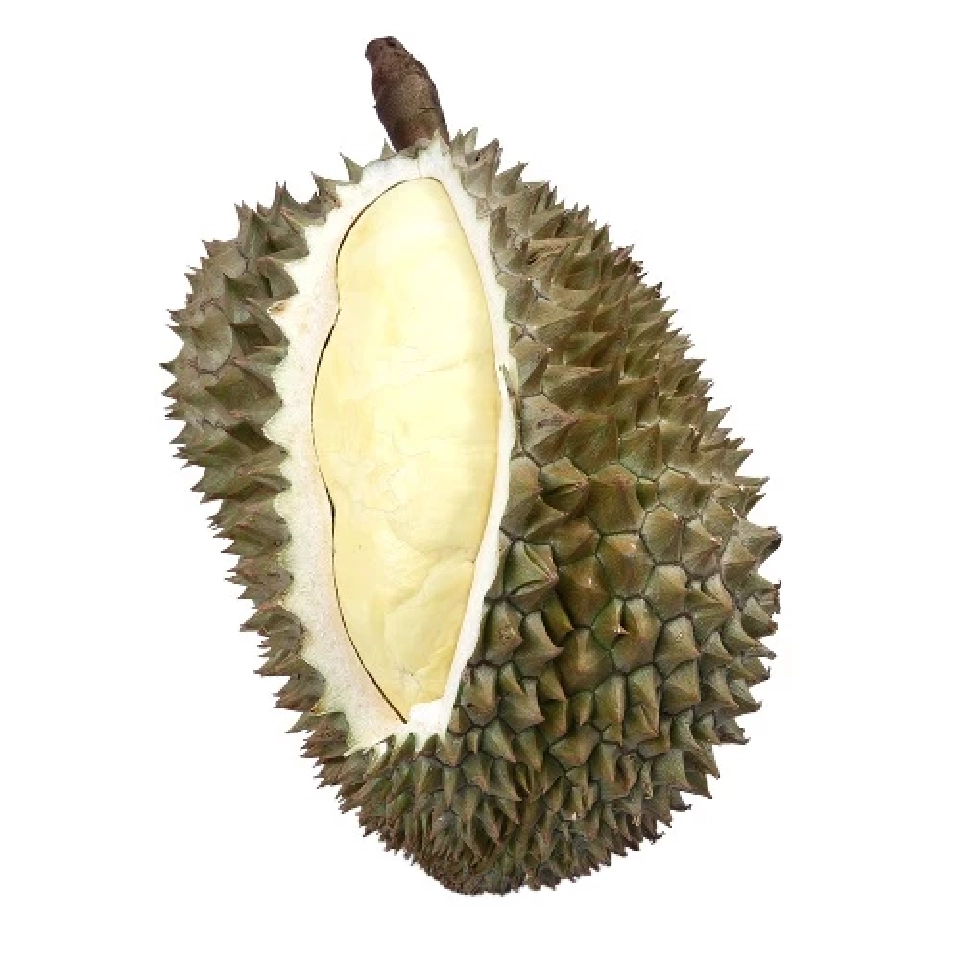 ทุเรียนหมอนทอง