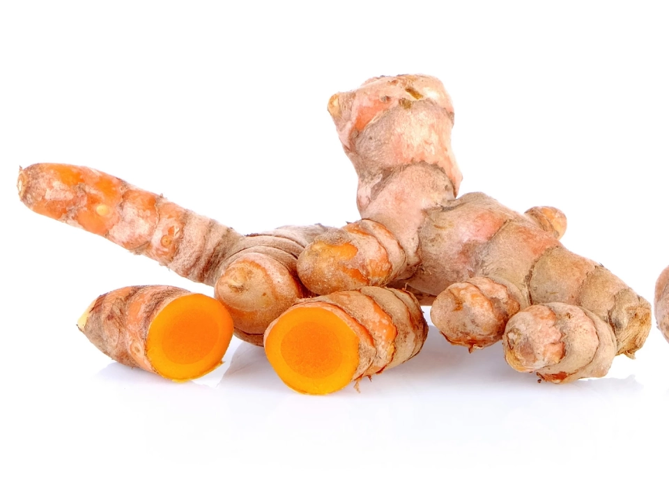 ส.อ.ท.หนุนรัฐดันสมุนไพรสู่ระบบบริการสุขภาพ ปูทางสู่ฮับอาเซียน