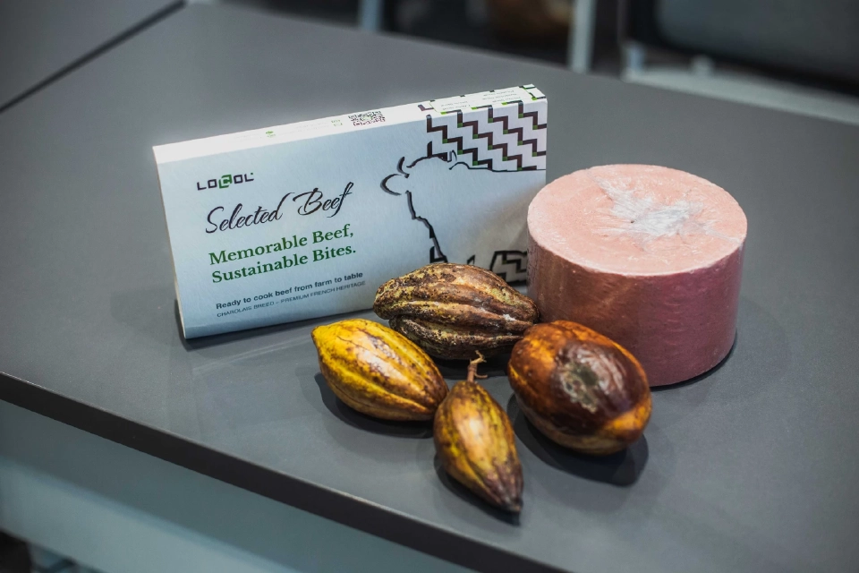 ทำความรู้จักสตาร์ทอัพลดคาร์บอนตัวจริง พลิกวิกฤตโลกร้อนสู่โอกาสธุรกิจใหม่