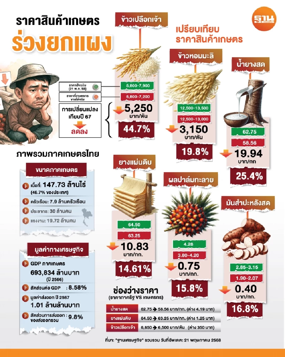 สินค้าเกษตรดิ่ง บาทแข็งทุบซํ้า “ข้าว มัน ยาง ปาล์ม ทุเรียน” ทิศทางราคาวูบต่อ
