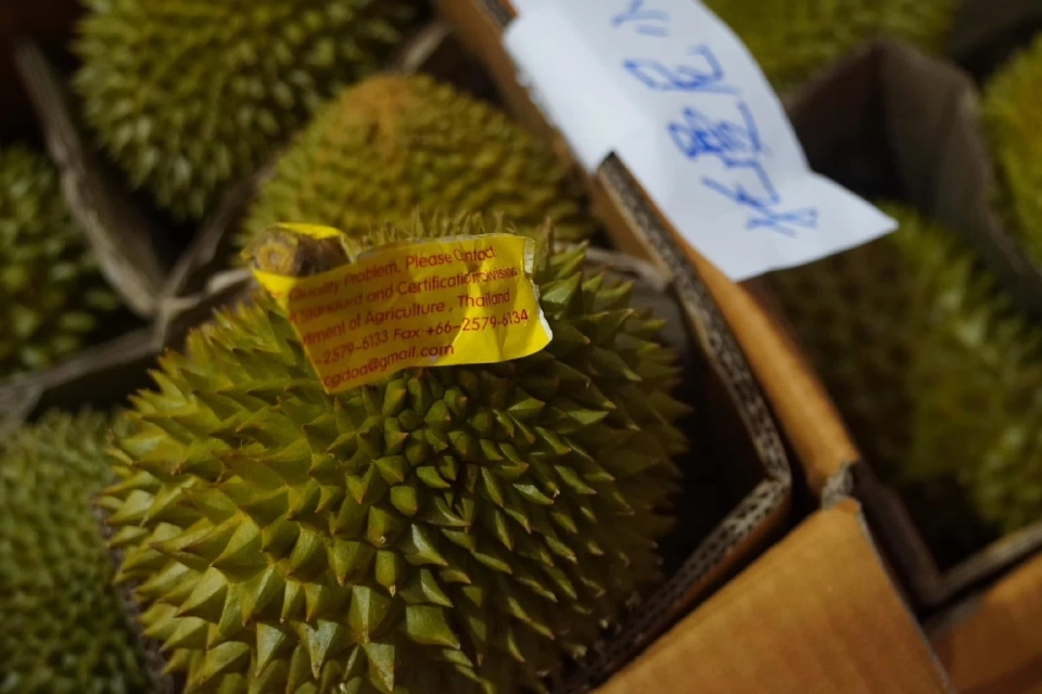 "นภินทร" นำทีมดันทุเรียนไทยลุยจีน เจรจารายใหญ่-ขยายตลาดพรีเมียม