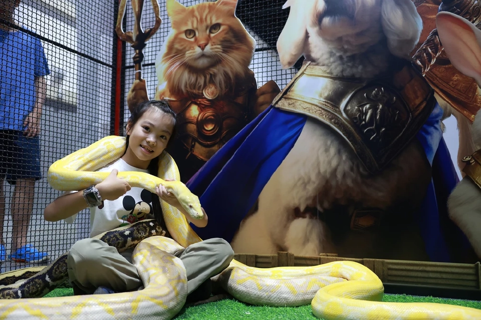 จัดใหญ่ "Pet Expo Thailand 2025" ตั้งเป้าอีก 2 ปี ขึ้นเป็นผู้นำตลาดสัตว์เลี้ยงในเอเชีย