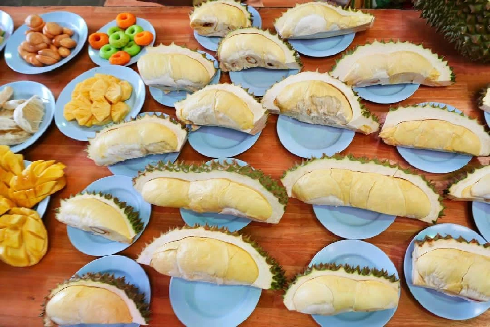 เปิดพิกัด\"บุฟเฟ่ต์ทุเรียน 2568\" ทั่วไทย กินไม่อั้นหนึ่งปีมีครั้งเดียว