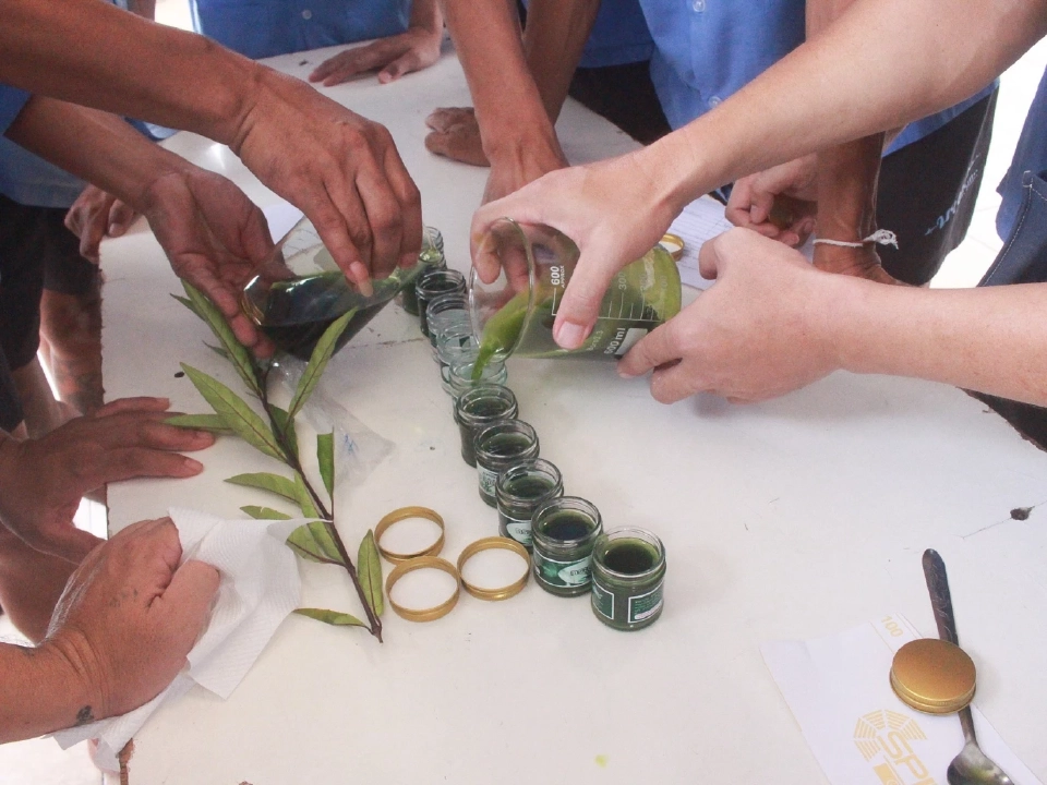 อภัยภูเบศรบินลัดฟ้าสู่ World Expo 2025 โอซากา โปรโมท Thai Wellness