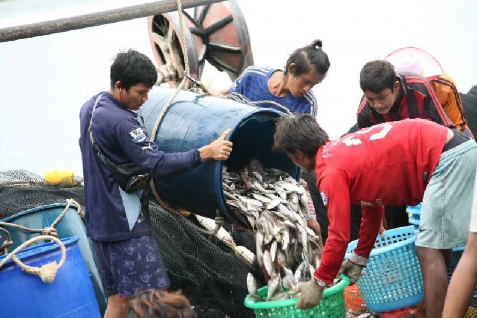 10 ล้าน แรงงานเกษตร เฮ จ่อเข้าประกัน มาตรา33 นายจ้างค้านอ้างเพิ่มต้นทุน