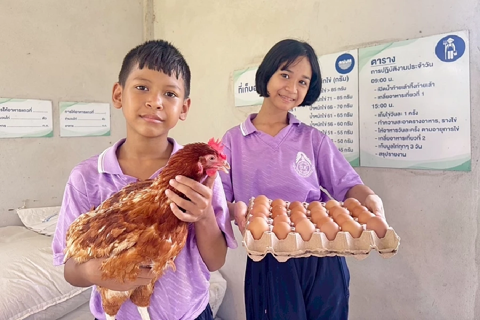 \"ไข่ไก่เปลี่ยนชีวิต\" บทเรียนนอกตำรา ของเด็ก ๆ โรงเรียนบ้านร้านตัดผม ชุมพร