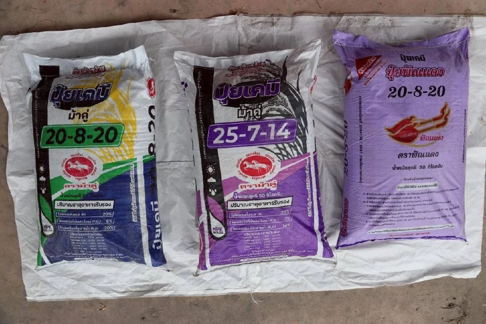 เตือนเกษตรกร! ตรวจสอบสิทธิ์ รับปุ๋ย-ชีวภัณฑ์ เยียวยาน้ำท่วม แจกฟรี