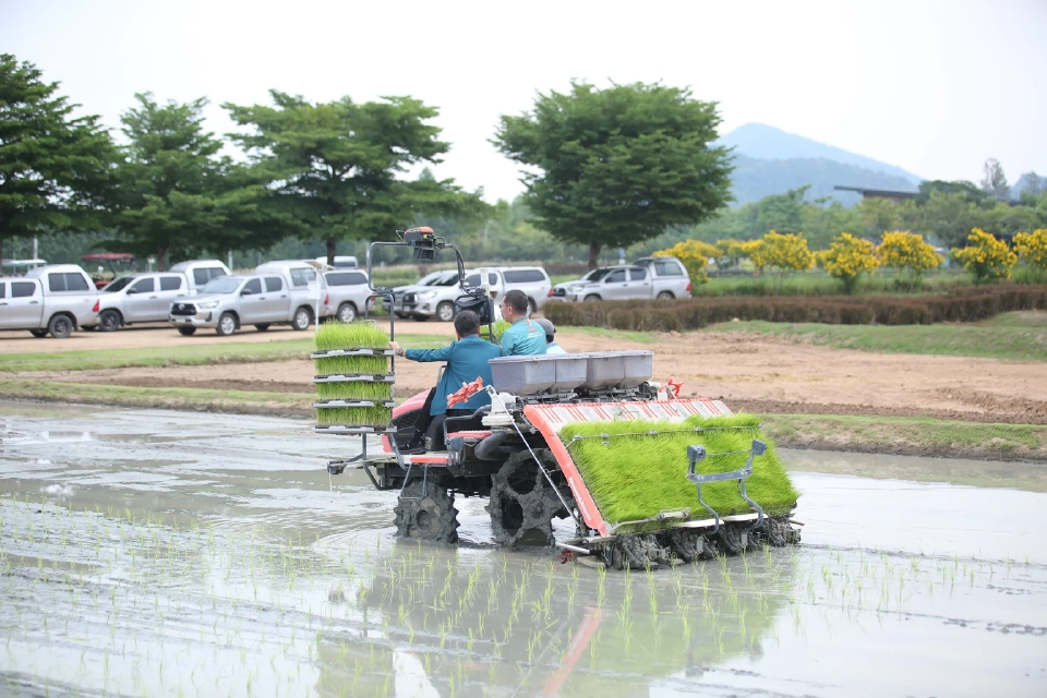 30 มิ.ย. จับตา “อนุผลิต” ไฟเขียวเงินช่วยเหลือชาวนา ไร่ละ 1,000 บาท ไม่เกิน  10 ไร่
