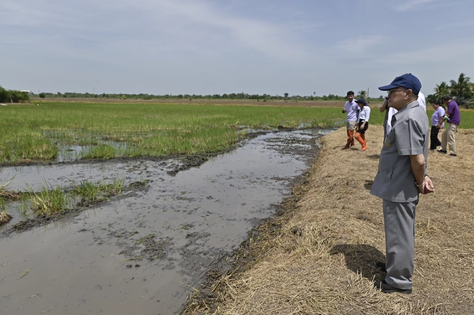 ชัยพัฒนาเดินหน้าลดเผาตอซังฟางข้าว ปั้นต้นแบบเกษตรยั่งยืน-ลดฝุ่นพิษ