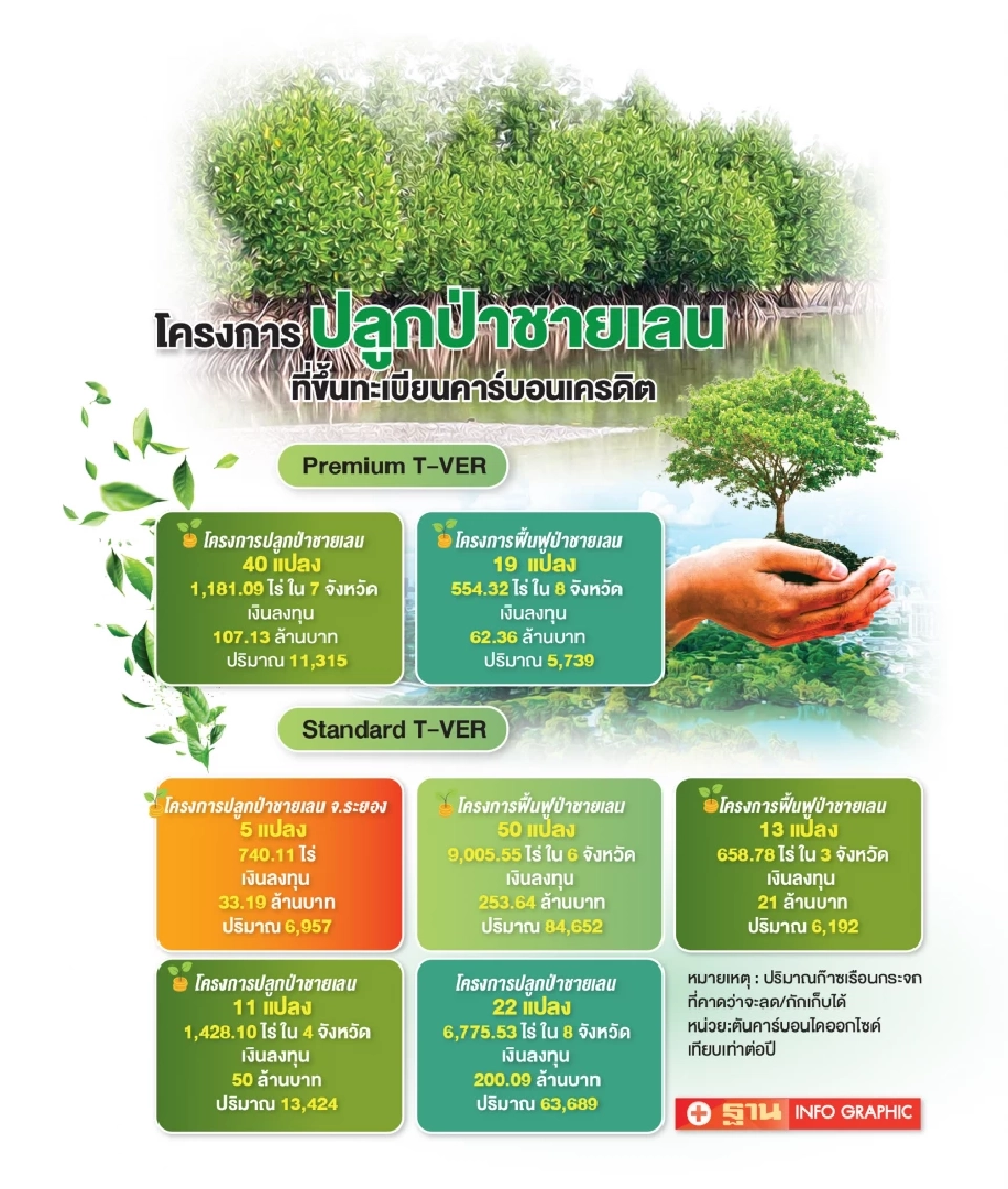 DITTO ออก 40 ล้านกรีนโทเคน ระดมทุนปลูกป่าชายเลน สร้างคาร์บอนเครดิต