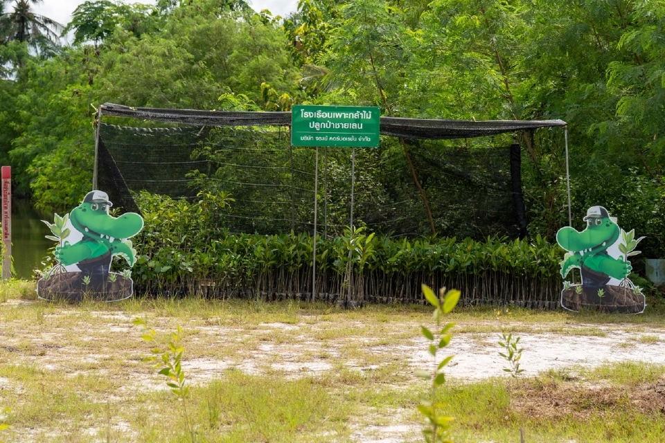 จระเข้ ลุยปลูกป่าชายเลนปี 2 มุ่งขึ้นทะเบียน T-VER สู่เป้าคาร์บอนเป็นกลาง