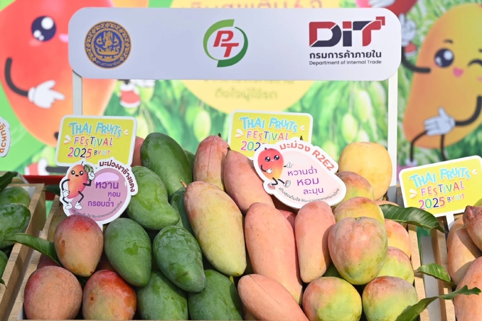 เติมน้ำมัน แจกฟรีมะม่วงแฟนซี กระทรวงพาณิชย์ช่วยเกษตรกร 