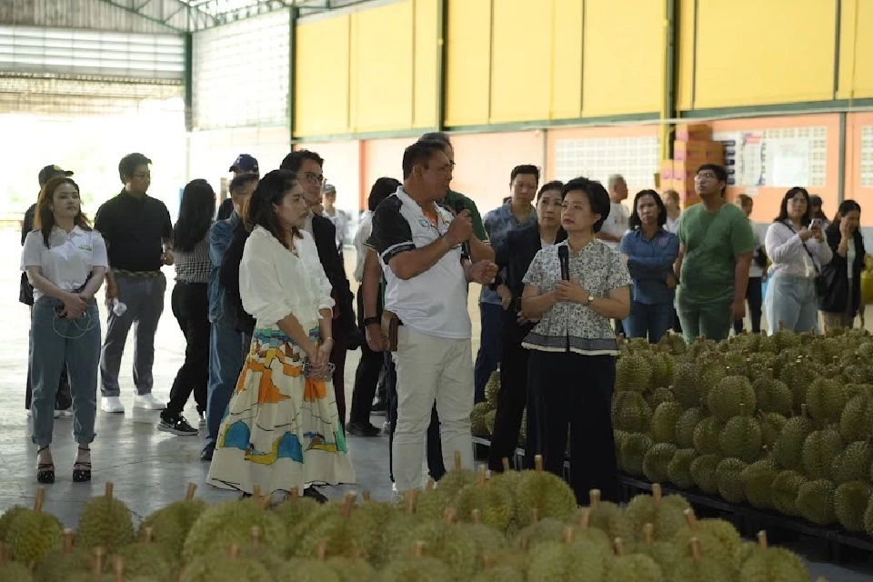 พาณิชย์ ดัน ทุเรียนสู่ตลาดโลก ยกระดับ–ขยายตลาด รับมือคู่แข่งภูมิภาค