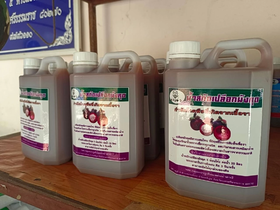 สศท.8 พลิกโฉมมังคุด! เพิ่มรายได้เกษตรกรด้วย "BCG Model"