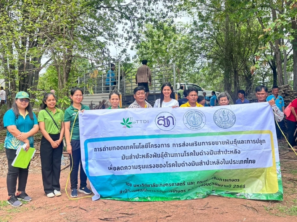 ข่าวดี “กรมส่งเสริมการเกษตร” ส่งท่อนพันธุ์ต้านโรคใบด่างมันสำปะหลัง กว่า 1.8 แสนลำ