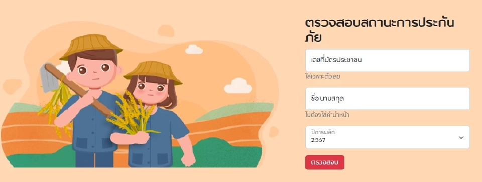 วิธีเช็คสิทธิ์ เงินประกันภัยข้าวนาปี 2567 ผ่านเว็บไซต์  rice.tgia.org