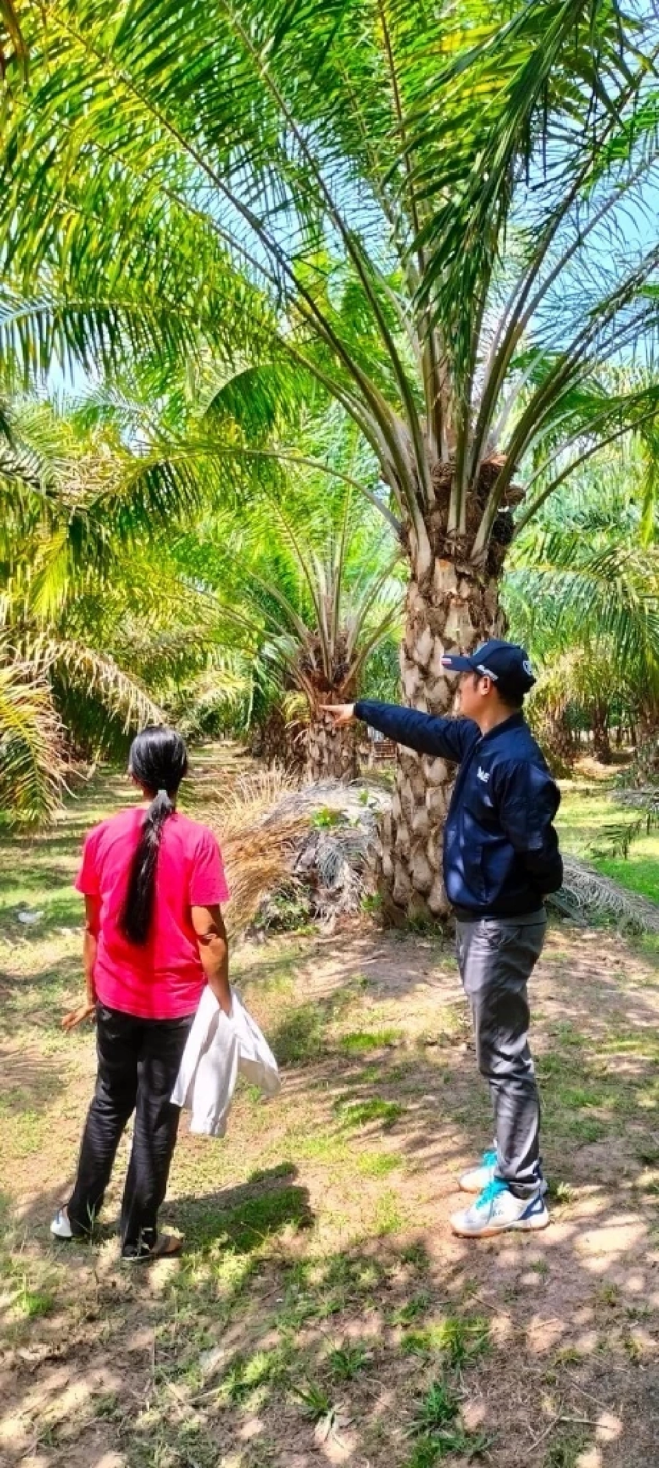 "สศก." ดันข้อมูลเอกภาพเกษตร "แม่นยำ เชื่อถือได้สูงสุด"