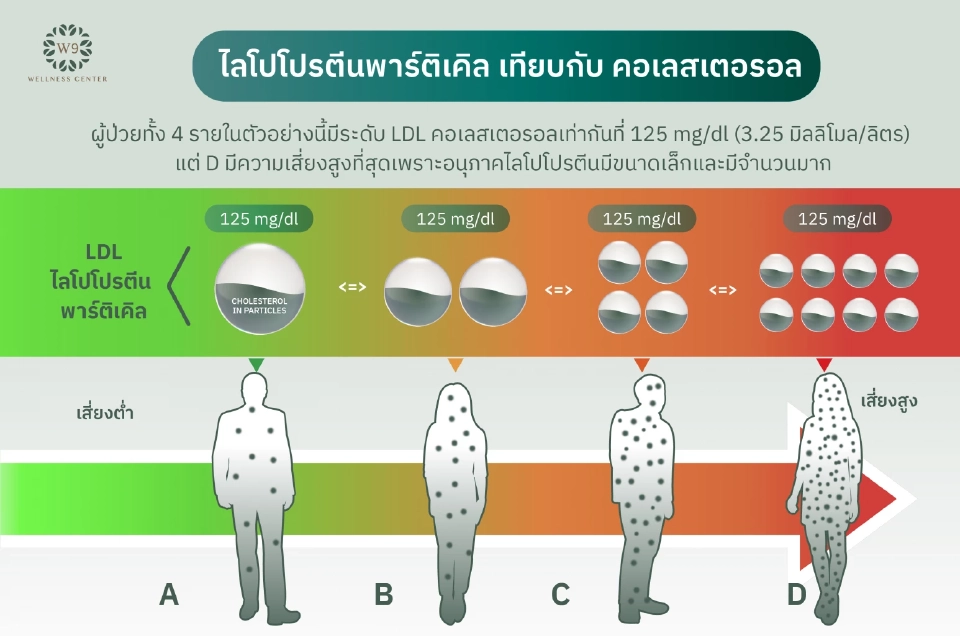 "ไขมัน" พาหนะขนส่งคอเลสเตอรอล ต้นเหตุ "โรคหัวใจและหลอดเลือด"