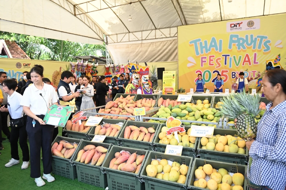 พาณิชย์ ดัน "สับปะรดไร่ม่วง" ขึ้นแท่นสินค้า GI สร้างรายได้กว่า 30 ล้าน/ปี