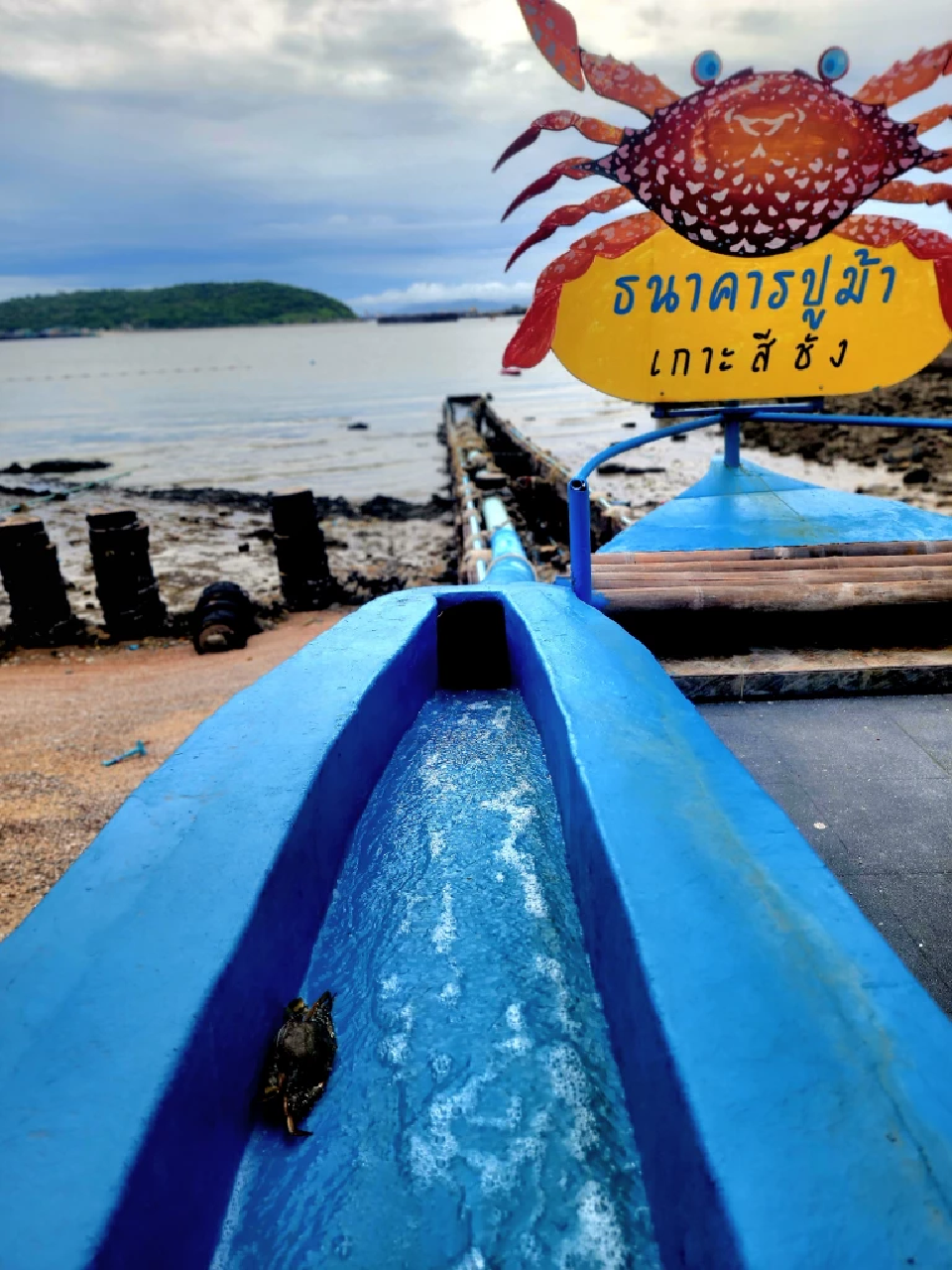 เปิดพิกัดที่เที่ยว “เกาะสีชัง”รับรองไม่ถูกชัง ได้ทั้งมู ได้ทั้งฟิลทะเลเก๋ๆ