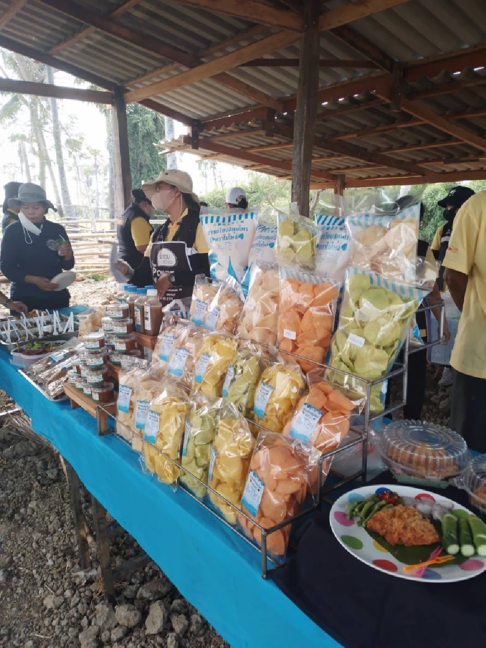 “แจ่วบองปลาหมอคางดำ” ไอเดียเปลี่ยนวิกฤตเป็นรายได้ชุมชนโพพระ