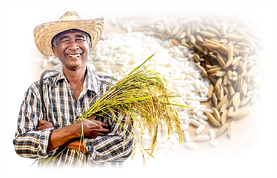 ข้าวเหนียว : เมื่อมิติความมั่นคงทางอาหารเป็นตัวกลางขับเคลื่อนโมเดล BCG