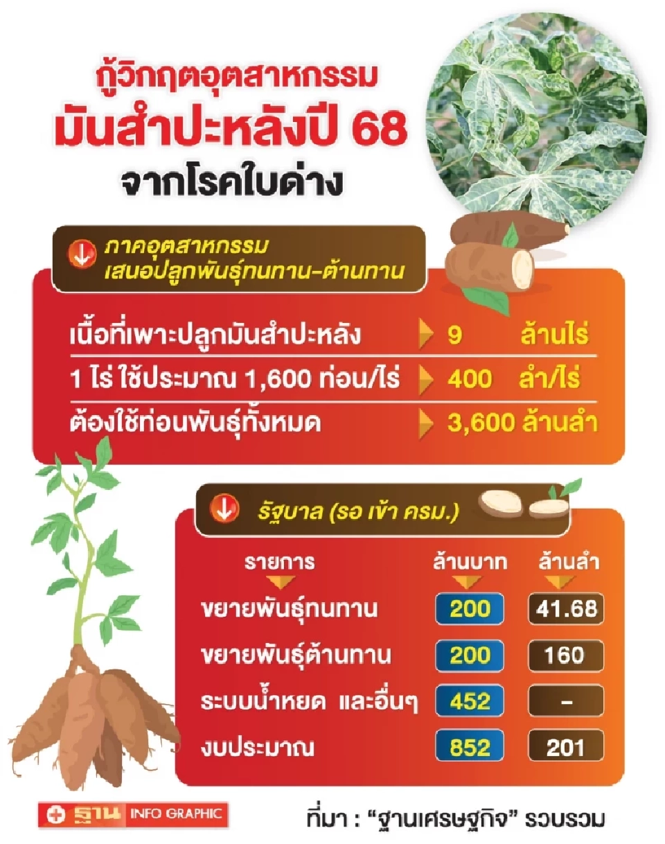 “เวียดนาม” ส้มหล่น  ไทยปิดด่านนำเข้ามันสำปะหลังจากกัมพูชา