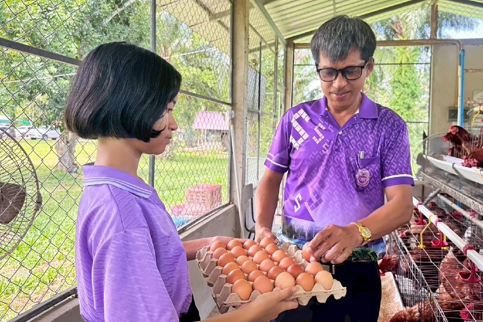 \"ไข่ไก่เปลี่ยนชีวิต\" บทเรียนนอกตำรา ของเด็ก ๆ โรงเรียนบ้านร้านตัดผม ชุมพร
