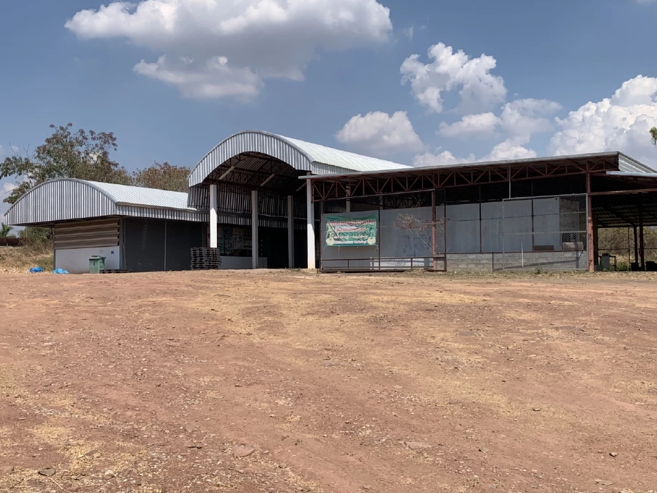 สศท.เผยสูตร ปั้นกล้วยหอม GI ชัยภูมิส่งออก โกยรายได้ 36 ล้าน