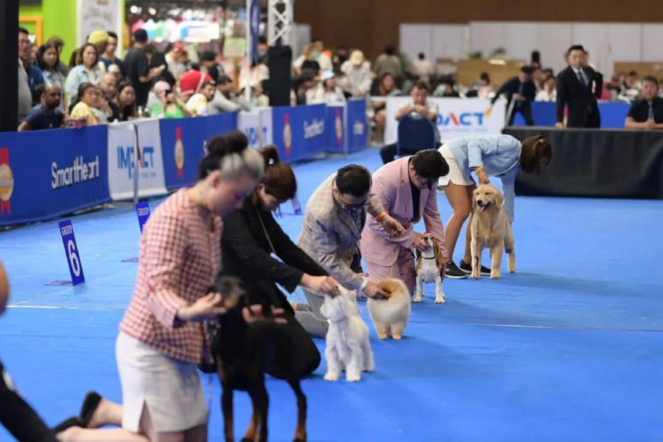 เทรนด์สัตว์เลี้ยงโตแรง อิมแพ็คจัด \"Dog Show\" คาดสร้างเงินสะพัด  75 ล้าน