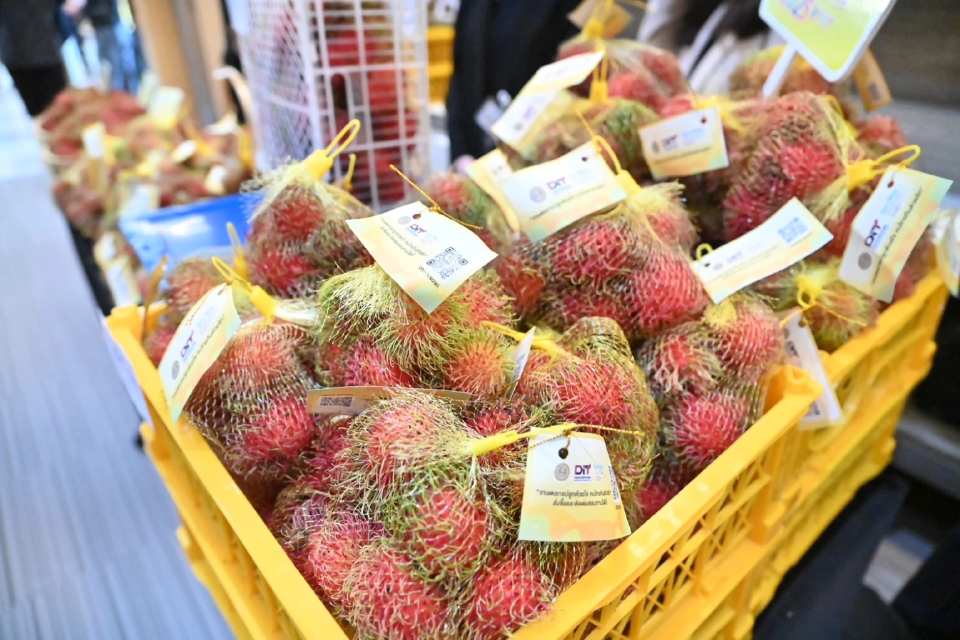 “พาณิชย์” ดึง  40 บริษัท ซื้อผลไม้ 6 พันตัน ช่วยเกษตรกร 1 ปี