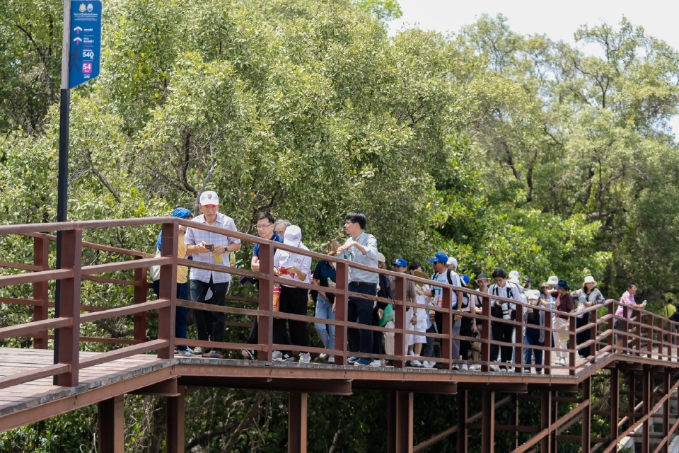 สสส. ชูพลังชุมชน "ระยอง" สู่ต้นแบบเมืองสุขภาพต้านโรค NCDs