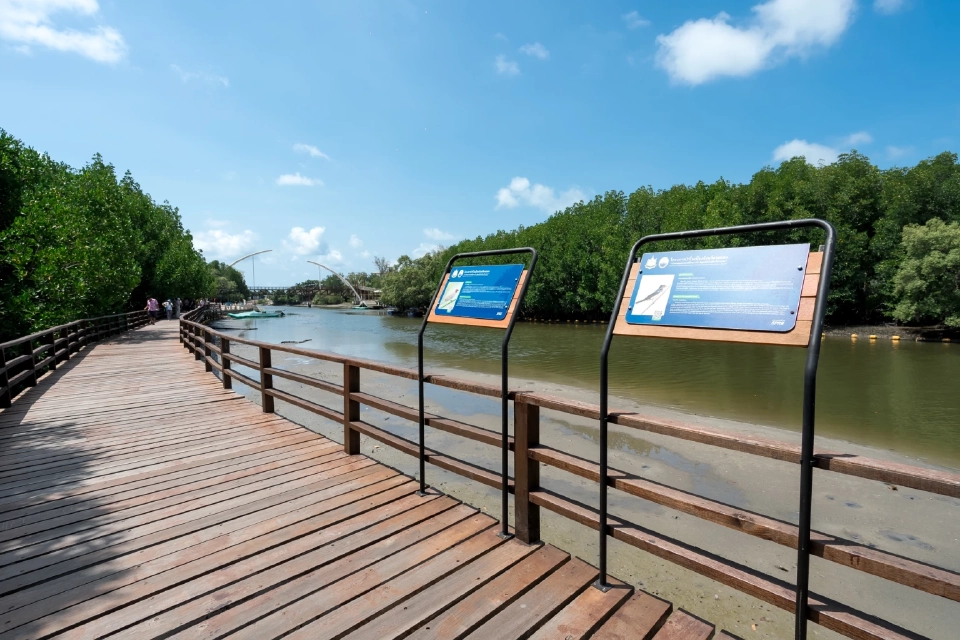 สสส. ชูพลังชุมชน "ระยอง" สู่ต้นแบบเมืองสุขภาพต้านโรค NCDs