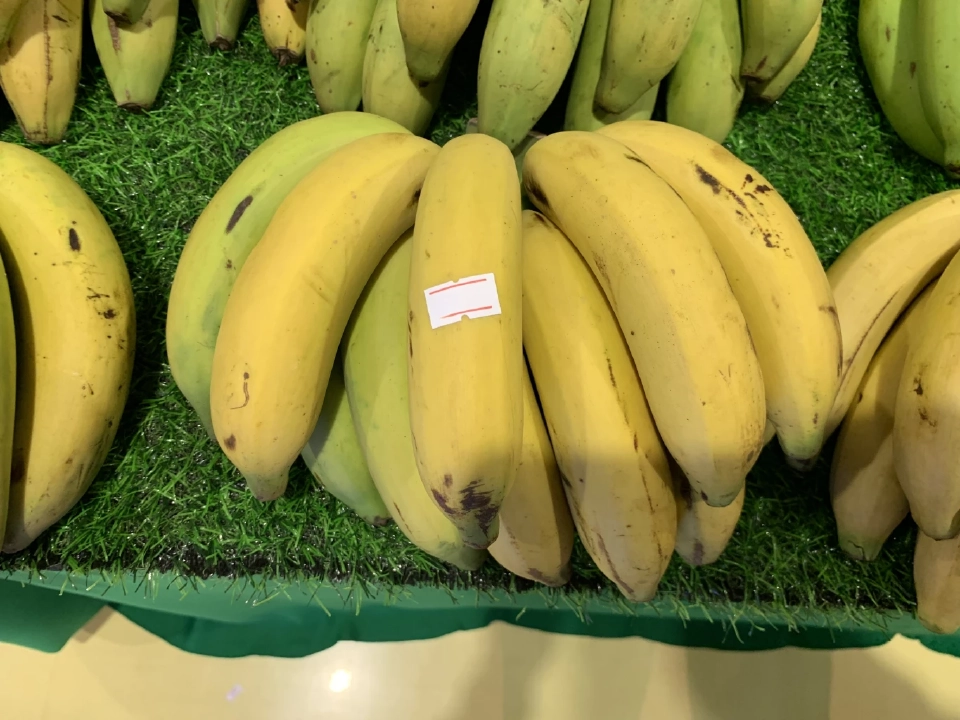 สศท.เผยสูตร ปั้นกล้วยหอม GI ชัยภูมิส่งออก โกยรายได้ 36 ล้าน