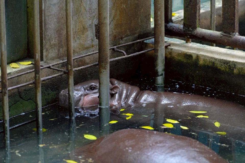 ททท. MOU องค์การสวนสัตว์ ชูกิมมิกใหม่ ขยายฐานนักท่องเที่ยวกลุ่มครอบครัว