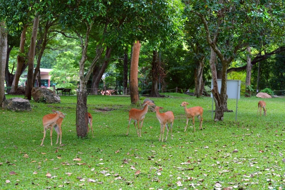 ททท. MOU องค์การสวนสัตว์ ชูกิมมิกใหม่ ขยายฐานนักท่องเที่ยวกลุ่มครอบครัว