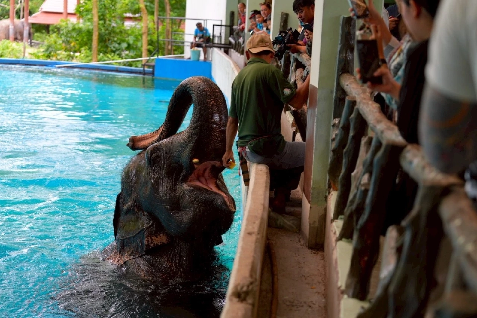 ททท. MOU องค์การสวนสัตว์ ชูกิมมิกใหม่ ขยายฐานนักท่องเที่ยวกลุ่มครอบครัว