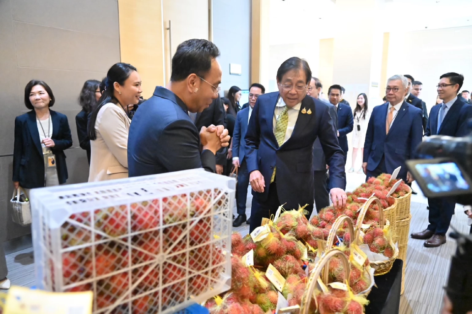 “พาณิชย์” ดึง  40 บริษัท ซื้อผลไม้ 6 พันตัน ช่วยเกษตรกร 1 ปี