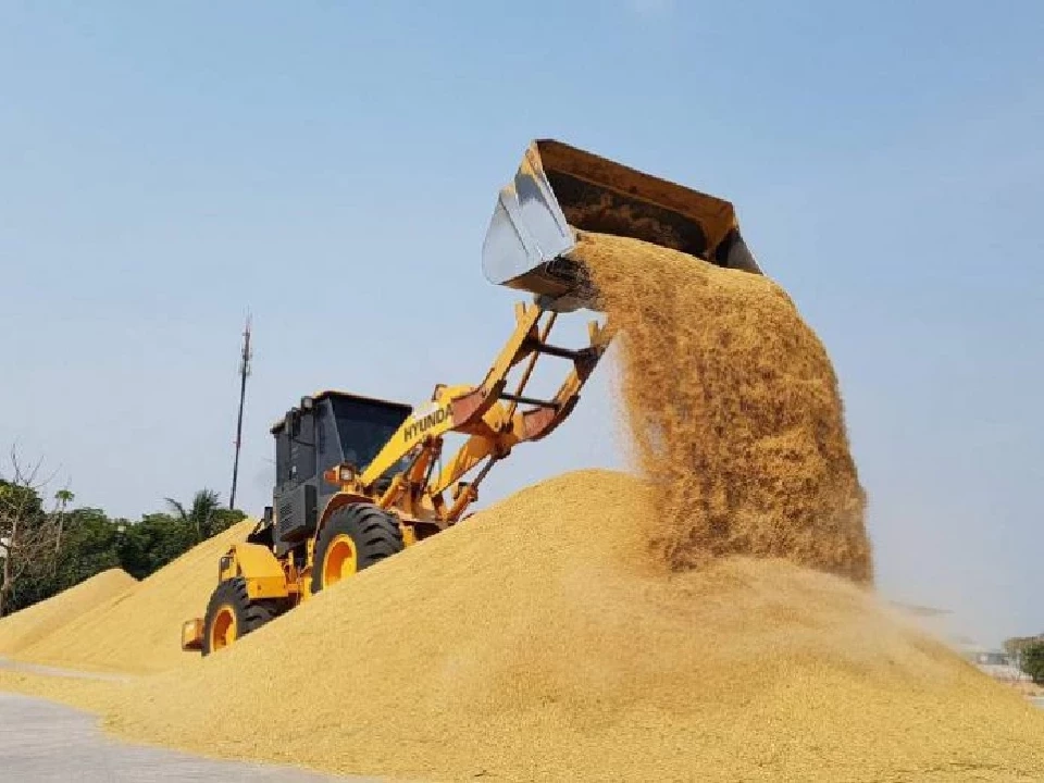 ผงะ! ราคาข้าวเปลือกเจ้า  25% เหลือ 5,000 บาท/ตัน ต่ำสุดในรอบ 17  ปี