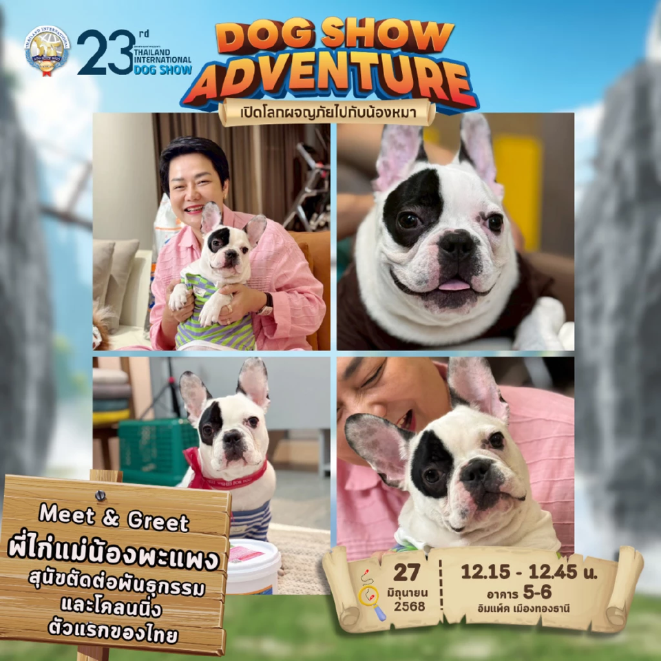 เทรนด์สัตว์เลี้ยงโตแรง อิมแพ็คจัด \"Dog Show\" คาดสร้างเงินสะพัด  75 ล้าน