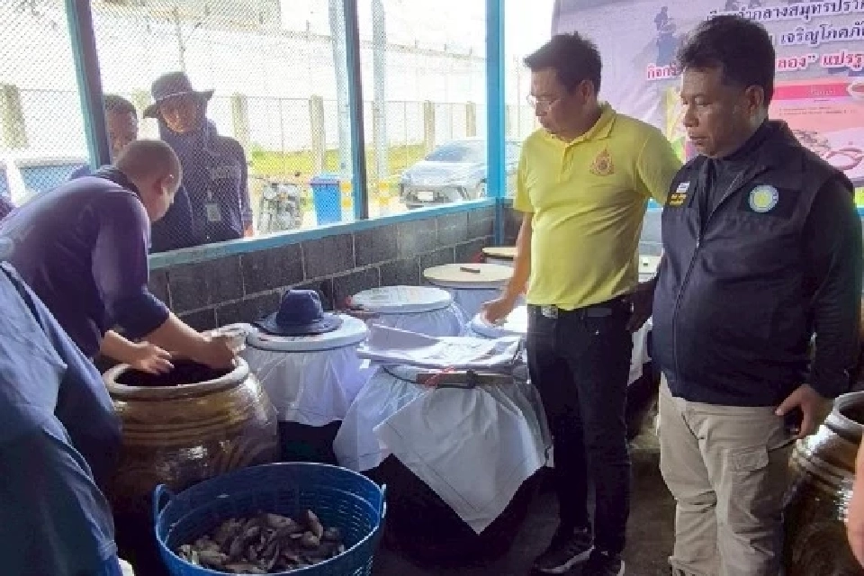 "หับเผยสมุทรปราการ" น้ำปลาจากปลาหมอคางดำ สู่ของดีคู่ครัวไทย